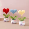 Handmade crochet heart shape potted stuffed plants finished woven bouquet home desktop decor christmas graduation gifts 3