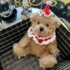 High quality toy cartoon brown teddy bear plush cute animal themed parties toys nursery bed room bed decor great gift for kids 2