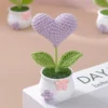 Handmade crochet heart shape potted stuffed plants finished woven bouquet home desktop decor christmas graduation gifts 4
