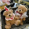High quality toy cartoon brown teddy bear plush cute animal themed parties toys nursery bed room bed decor great gift for kids 3